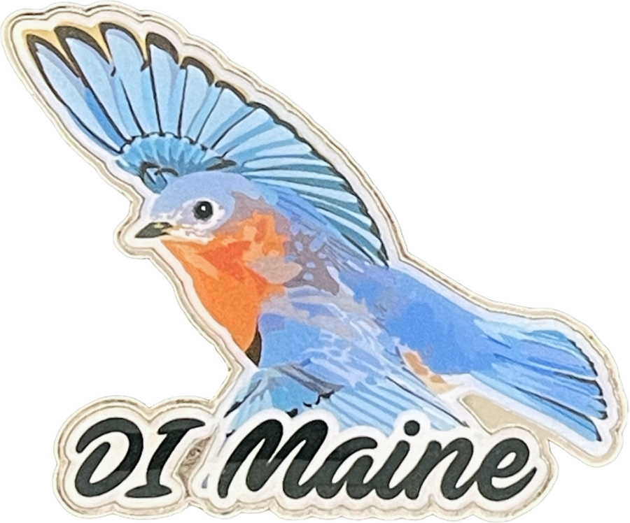 Offset Print Pin of DI Maine - Bluebird for Destination Imagination Pin Collection