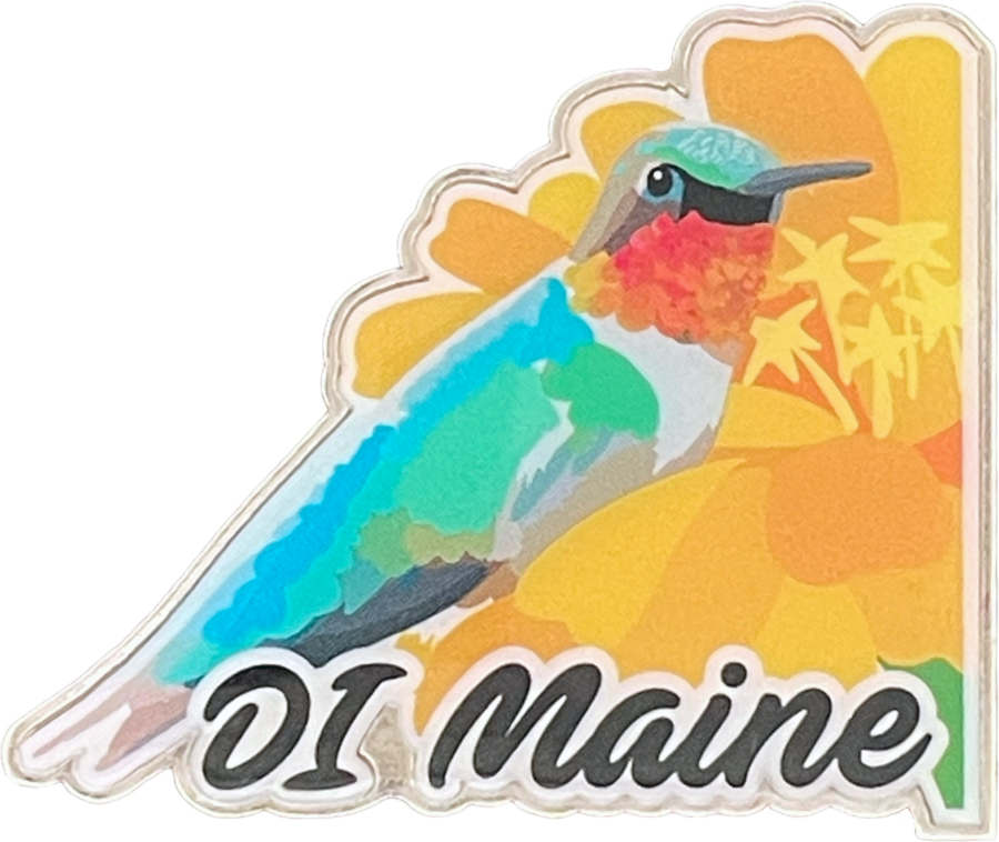 Offset Print Pin of DI Maine - Hummingbird for Destination Imagination Pin Collection